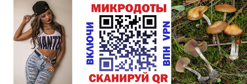 Псилоцибиновые грибы мицелий  наркота  Александровск 